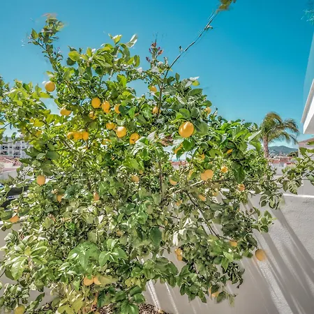 New Luxurious House With Rooftop Terrace And Pool *