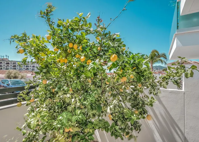 New Luxurious House With Rooftop Terrace And Pool *